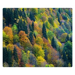 Forest Trees Leaves Fall Autumn Nature Sunshine Premium Plush Fleece Blanket (small)