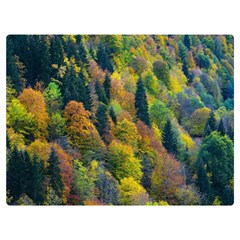 Forest Trees Leaves Fall Autumn Nature Sunshine Premium Plush Fleece Blanket (extra Small)