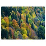 Forest Trees Leaves Fall Autumn Nature Sunshine Premium Plush Fleece Blanket (Extra Small) 40 x30  Blanket Front