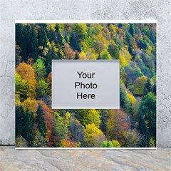 Forest Trees Leaves Fall Autumn Nature Sunshine White Wall Photo Frame 5  X 7  by Ravend