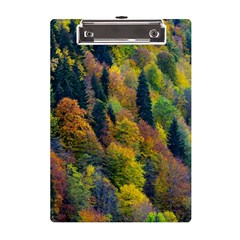 Forest Trees Leaves Fall Autumn Nature Sunshine A5 Acrylic Clipboard by Ravend