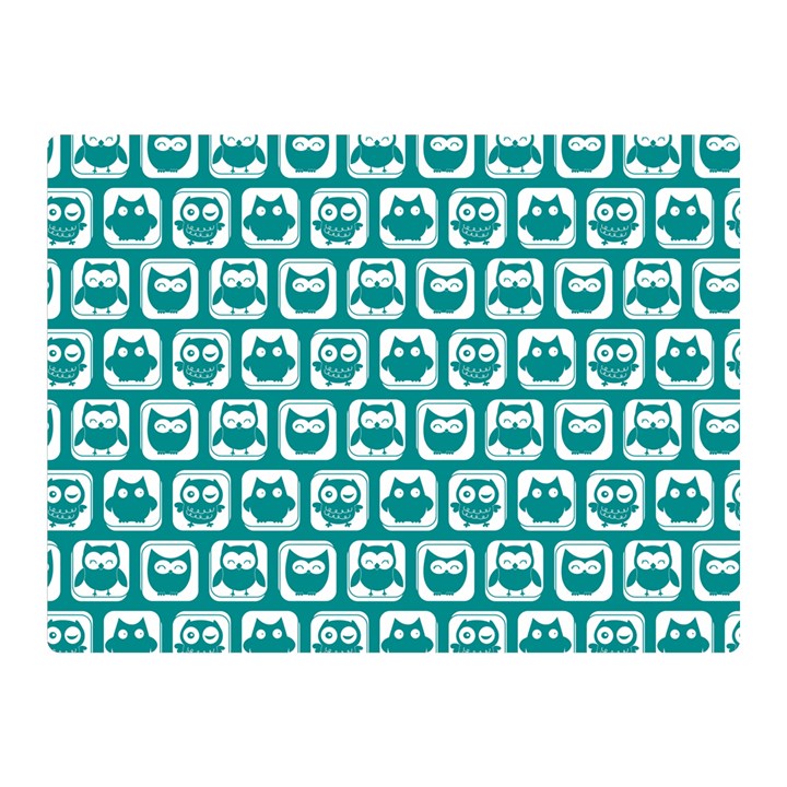 Teal And White Owl Pattern Two Sides Premium Plush Fleece Blanket (Mini)