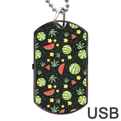 Watermelon Berry Patterns Pattern Dog Tag Usb Flash (two Sides)