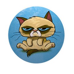 Grumpy Cat Mini Round Pill Box by Jancukart