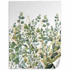 Gold And Green Eucalyptus Leaves Canvas 12  X 16  by Jack14