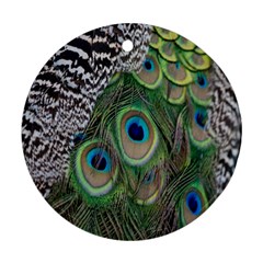 Peacock Bird Feather Colourful Ornament (round) by Jancukart