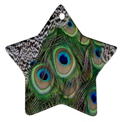 Peacock Bird Feather Colourful Ornament (star) by Jancukart