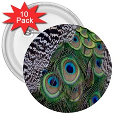 Peacock Bird Feather Colourful 3  Buttons (10 Pack) 