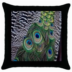 Peacock Bird Feather Colourful Throw Pillow Case (black)