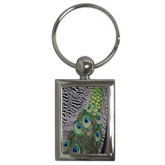 Peacock Bird Feather Colourful Key Chain (rectangle) by Jancukart