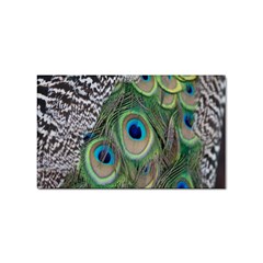 Peacock Bird Feather Colourful Sticker (rectangular) by Jancukart