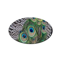 Peacock Bird Feather Colourful Sticker Oval (10 Pack) by Jancukart