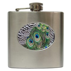 Peacock Bird Feather Colourful Hip Flask (6 Oz)