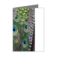 Peacock Bird Feather Colourful Mini Greeting Card by Jancukart