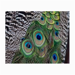 Peacock Bird Feather Colourful Small Glasses Cloth (2 Sides) by Jancukart