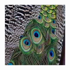 Peacock Bird Feather Colourful Medium Glasses Cloth (2 Sides) by Jancukart