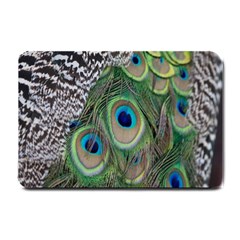 Peacock Bird Feather Colourful Small Doormat by Jancukart