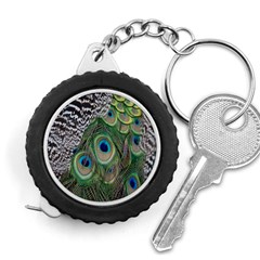 Peacock Bird Feather Colourful Measuring Tape