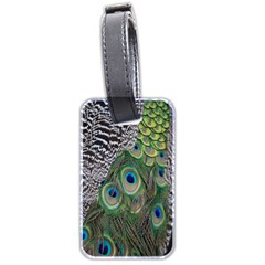 Peacock Bird Feather Colourful Luggage Tag (two Sides)