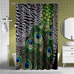 Peacock Bird Feather Colourful Shower Curtain 48  X 72  (small) 