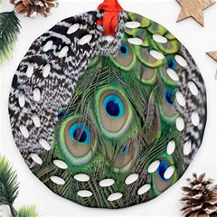 Peacock Bird Feather Colourful Round Filigree Ornament (two Sides)