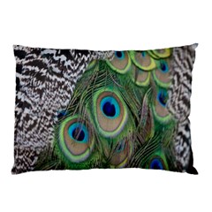 Peacock Bird Feather Colourful Pillow Case (two Sides)