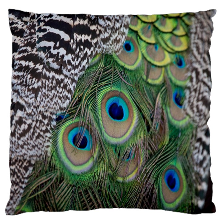 Peacock Bird Feather Colourful Large Cushion Case (One Side)