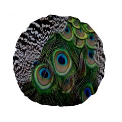 Peacock Bird Feather Colourful Standard 15  Premium Round Cushions