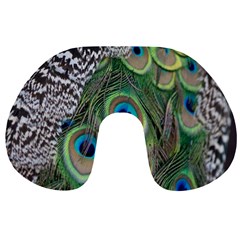 Peacock Bird Feather Colourful Travel Neck Pillow by Jancukart