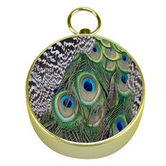 Peacock Bird Feather Colourful Gold Compasses by Jancukart