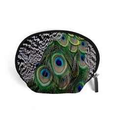 Peacock Bird Feather Colourful Accessory Pouch (small)