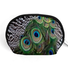 Peacock Bird Feather Colourful Accessory Pouch (medium)