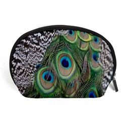 Peacock Bird Feather Colourful Accessory Pouch (large)