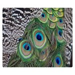 Peacock Bird Feather Colourful Two Sides Premium Plush Fleece Blanket (Small) 50 x40  Blanket Front