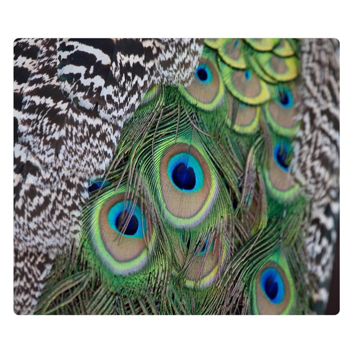 Peacock Bird Feather Colourful Two Sides Premium Plush Fleece Blanket (Small)