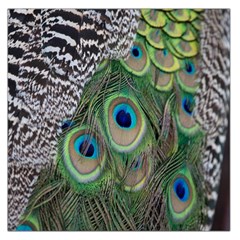 Peacock Bird Feather Colourful Square Satin Scarf (36  X 36 )