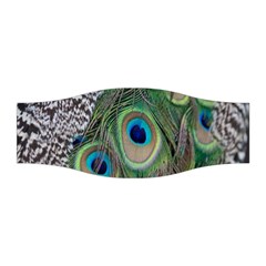 Peacock Bird Feather Colourful Stretchable Headband