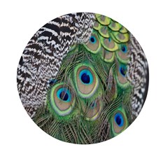 Peacock Bird Feather Colourful Mini Round Pill Box