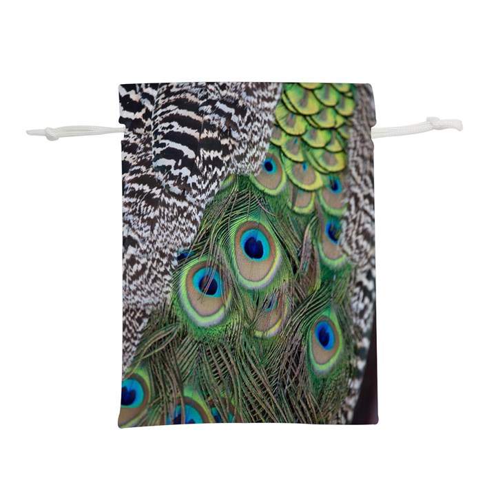 Peacock Bird Feather Colourful Lightweight Drawstring Pouch (L)