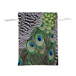 Peacock Bird Feather Colourful Lightweight Drawstring Pouch (L) Back