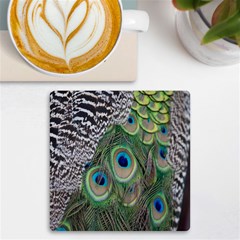 Peacock Bird Feather Colourful Uv Print Square Tile Coaster 