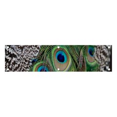 Peacock Bird Feather Colourful Banner And Sign 4  X 1  by Jancukart