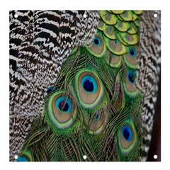 Peacock Bird Feather Colourful Banner And Sign 4  X 4  by Jancukart