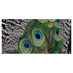 Peacock Bird Feather Colourful Banner And Sign 8  X 4  by Jancukart