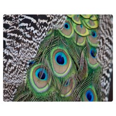 Peacock Bird Feather Colourful Premium Plush Fleece Blanket (medium) by Jancukart