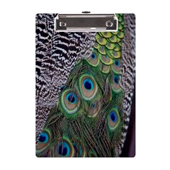 Peacock Bird Feather Colourful A5 Acrylic Clipboard by Jancukart