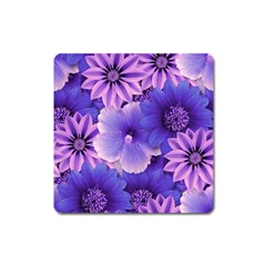 Pattern Floral Flora Flower Flowers Blue Violet Patterns Square Magnet