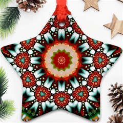 Kaleidoscope Floral Pattern Rosette Ornament (star) by Jancukart