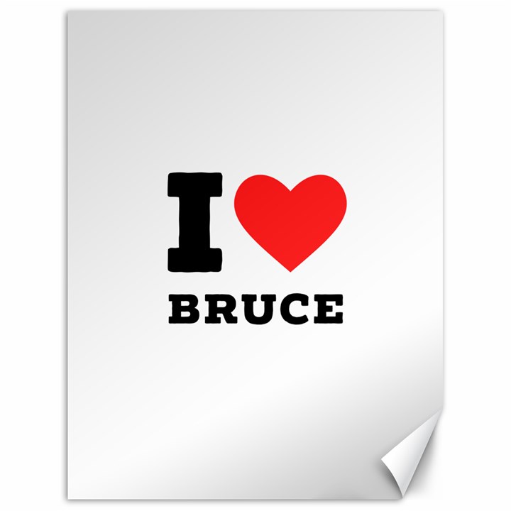 I love bruce Canvas 18  x 24 