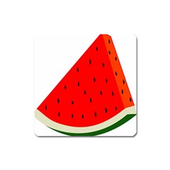 Fruit-01 Square Magnet by nateshop